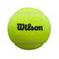 Pelotas Wilson Premier Padel