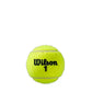 Pelotas Wilson Roland Garros